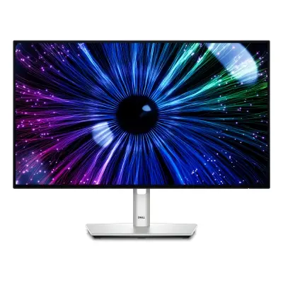Dell 24
